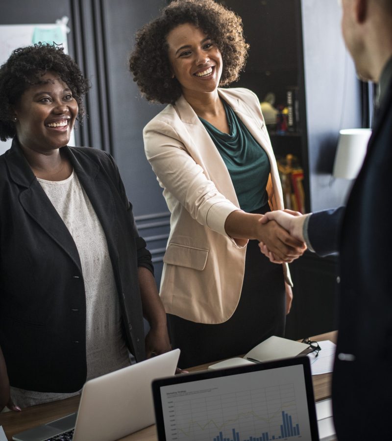 Business partners shaking hands in agreement